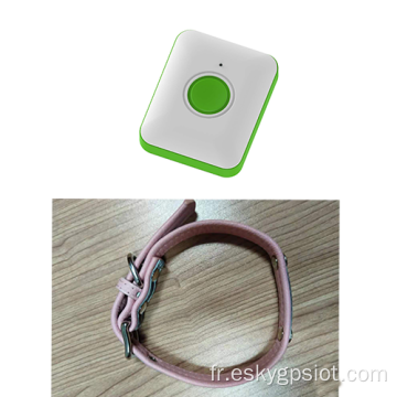 Tracker GPS intelligent pour animal de compagnie